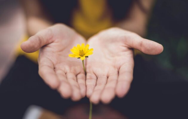 Give Back: Foundation